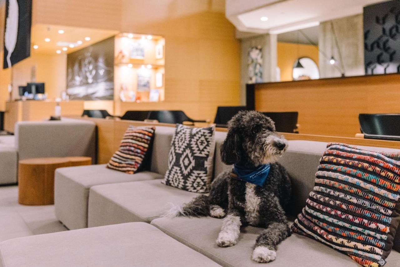 Delta Hotels By Marriott Mont Sainte-Anne, Resort & Convention Center Beaupre Ngoại thất bức ảnh